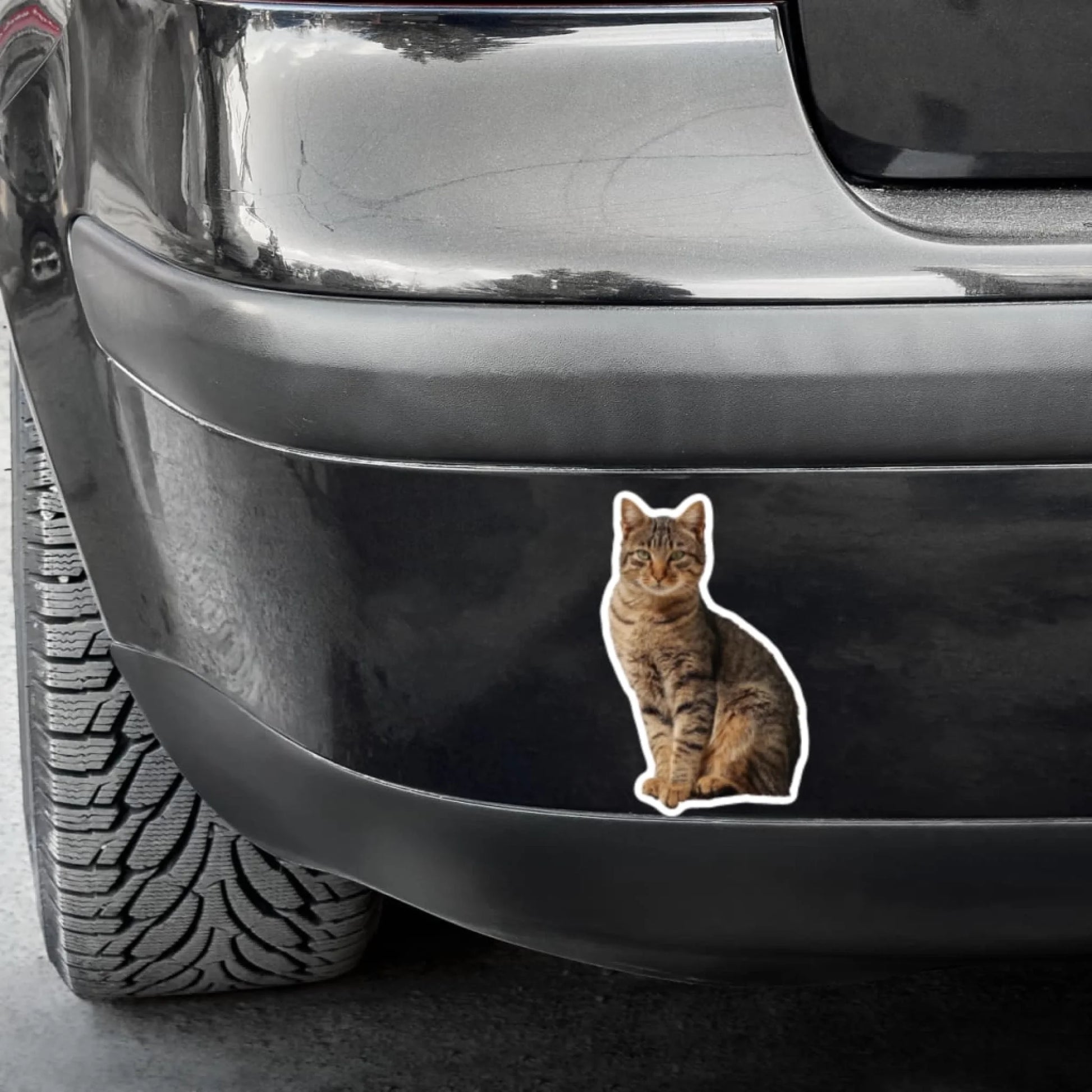 WhatsApp Image 2025-09-17 at 2.41.32 PM