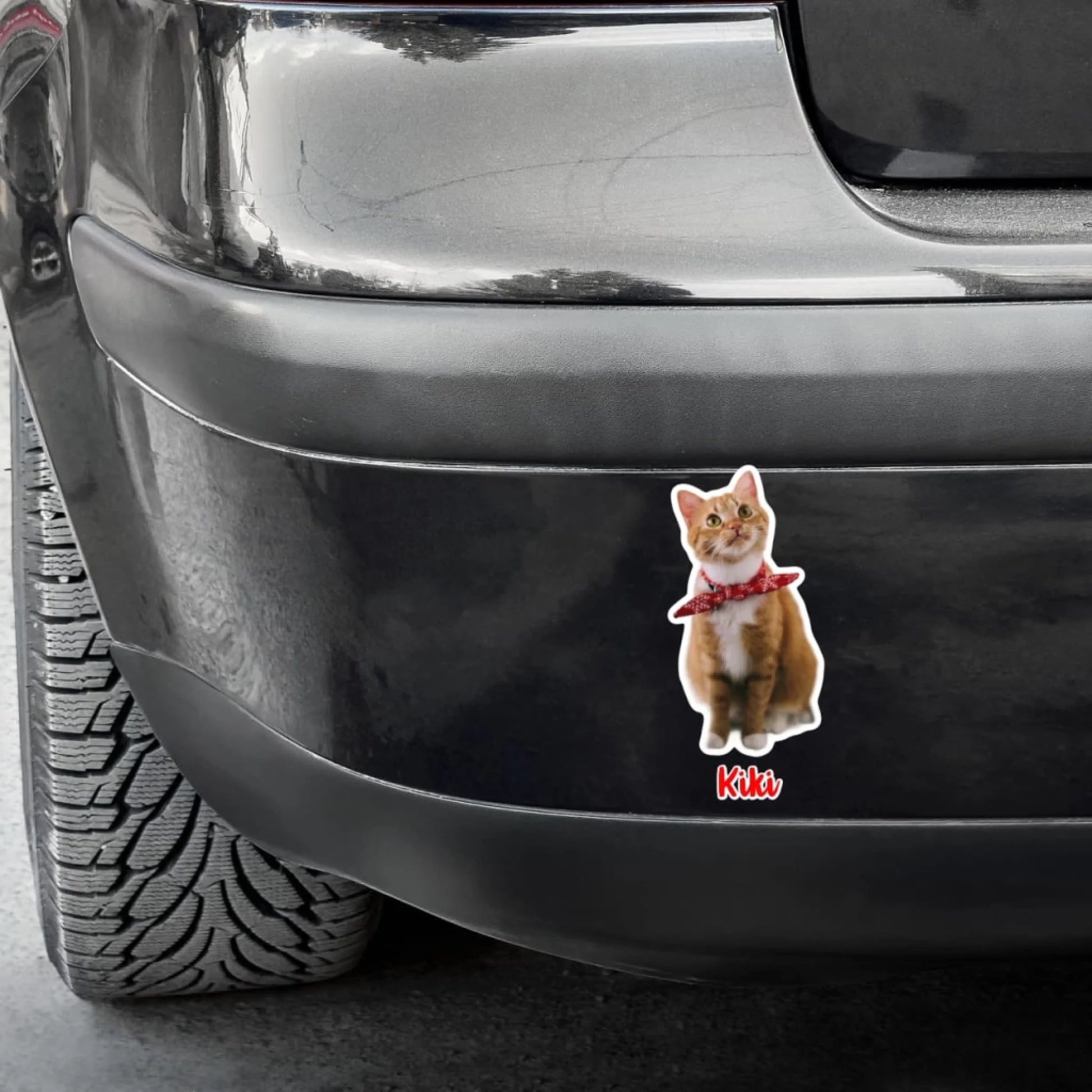 WhatsApp Image 2025-09-17 at 2.57.46 PM