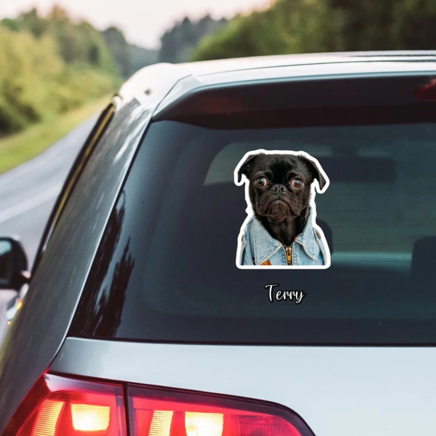 WhatsApp Image 2025-09-17 at 2.57.46 PM (1)