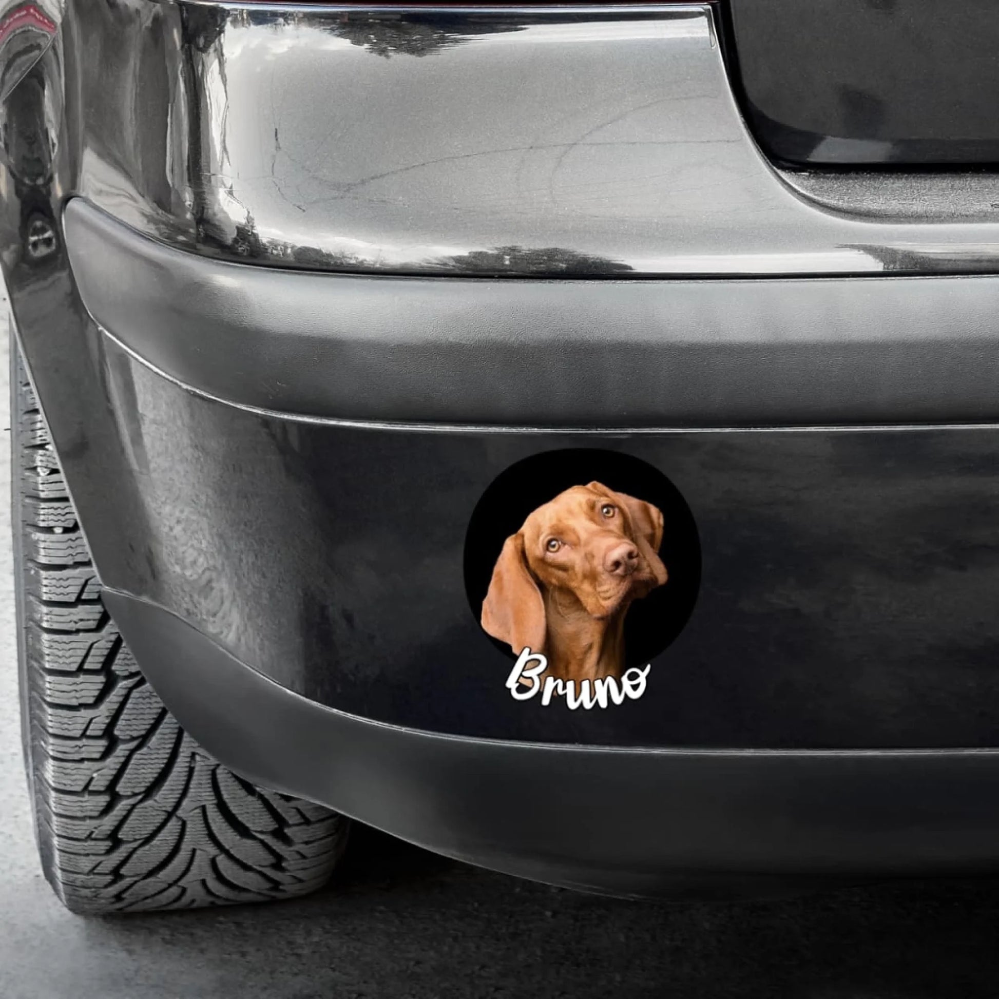 WhatsApp Image 2025-09-16 at 9.40.38 PM