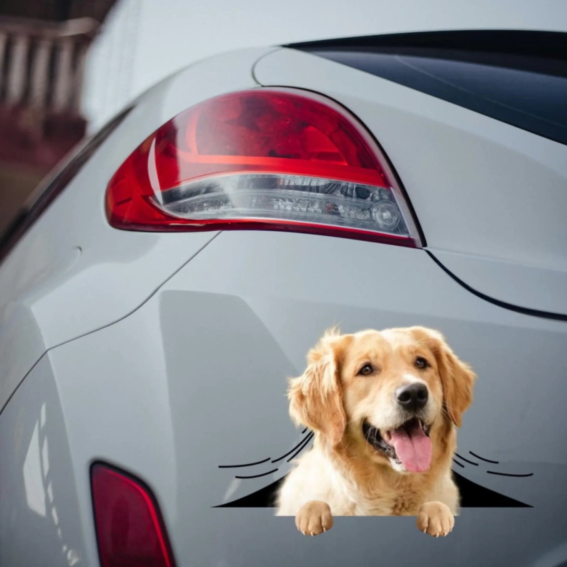 WhatsApp Image 2025-09-16 at 9.57.20 PM (1)