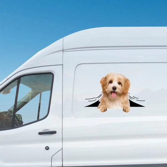 WhatsApp Image 2025-09-16 at 9.57.20 PM